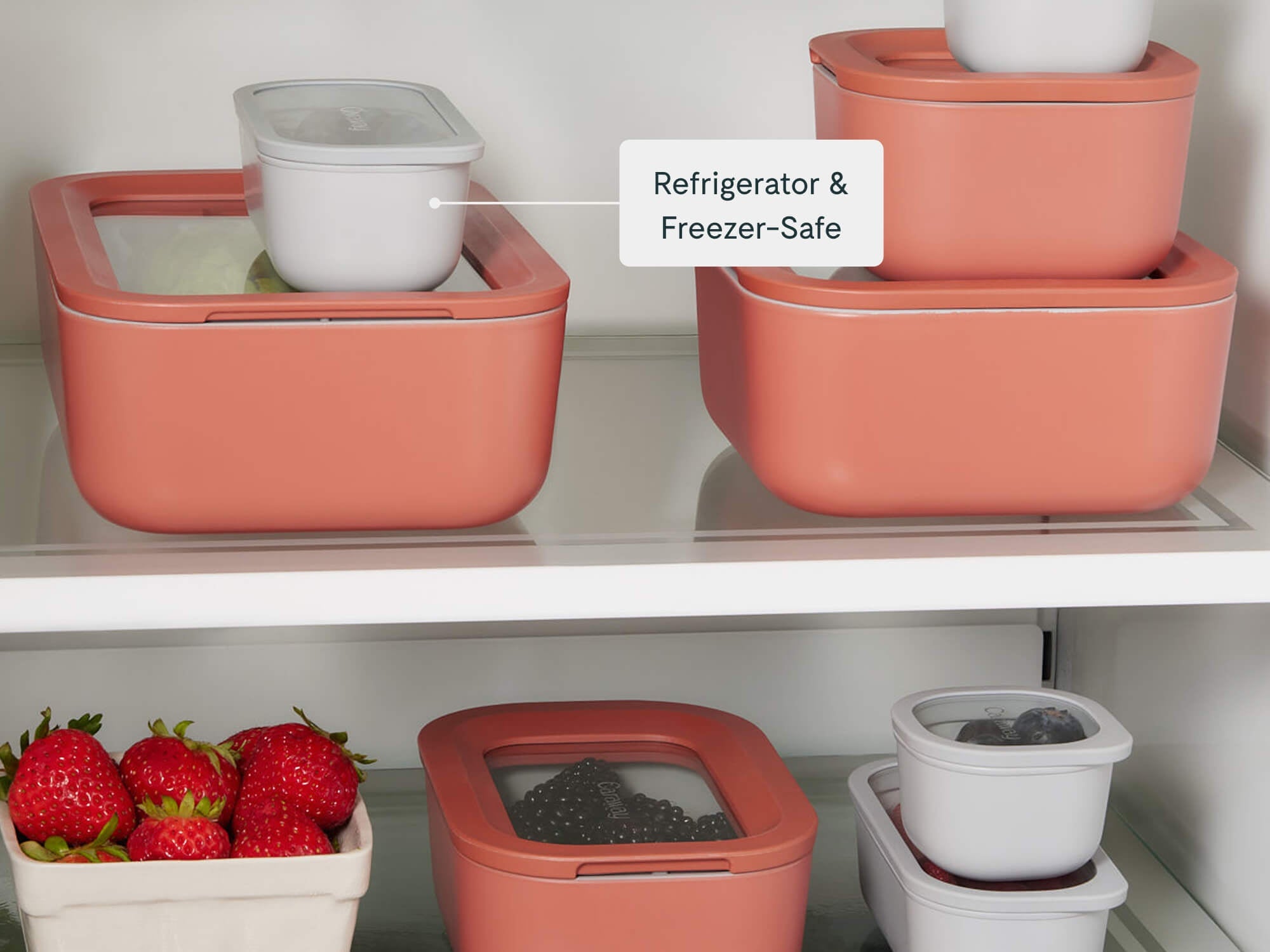 Mini Dash Containers - Image 6